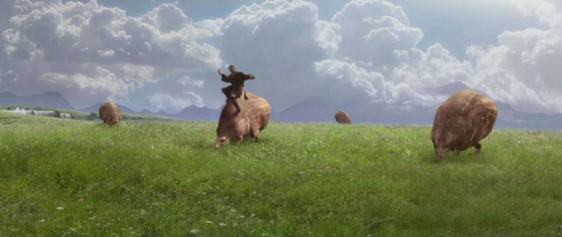 Shaakweide in den Bergen